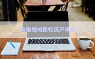 安徽融城債權(quán)資產(chǎn)項(xiàng)目