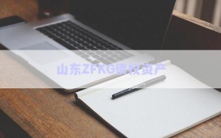山東ZFKG債權(quán)資產(chǎn) 山東ZFKG債權(quán)資產(chǎn)