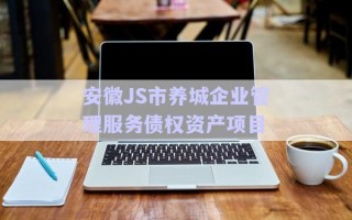 安徽J(rèn)S市養(yǎng)城企業(yè)管理服務(wù)債權(quán)資產(chǎn)項(xiàng)目