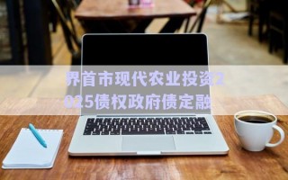 界首市現(xiàn)代農業(yè)投資2025債權政府債定融