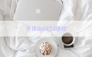 平頂山GXTZ債權(quán)