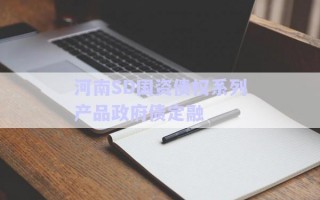 河南SD國(guó)資債權(quán)系列產(chǎn)品政府債定融 河南SD國(guó)資債權(quán)系列產(chǎn)品政府債定融
