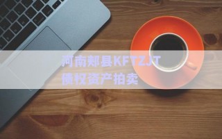 河南郟縣KFTZJT債權(quán)資產(chǎn)拍賣