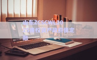 山東ZCSCWL2025債權(quán)資產(chǎn)政府債定融