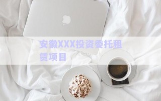 安徽XXX投資委托租賃項(xiàng)目