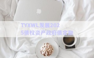 TYXWL發(fā)展2025債權(quán)資產(chǎn)政府債定融