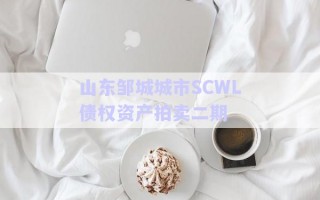 山東鄒城城市SCWL債權(quán)資產(chǎn)拍賣二期