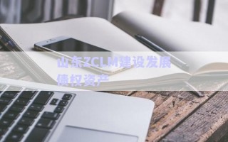 山東ZCLM建設(shè)發(fā)展債權(quán)資產(chǎn) 山東ZCLM建設(shè)發(fā)展債權(quán)資產(chǎn)