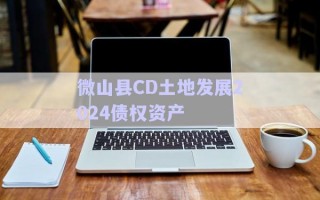 微山縣CD土地發(fā)展2024債權(quán)資產(chǎn)