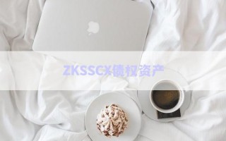 ZKSSCX債權(quán)資產(chǎn)