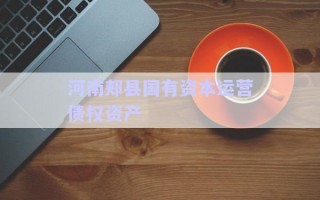 河南郟縣國(guó)有資本運(yùn)營(yíng)債權(quán)資產(chǎn)