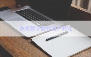 牟州數(shù)字債權(quán)資產(chǎn)轉(zhuǎn)讓 牟州數(shù)字債權(quán)資產(chǎn)轉(zhuǎn)讓