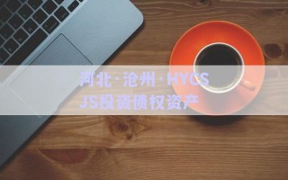河北·滄州·HYCSJS投資債權(quán)資產(chǎn) 河北·滄州·HYCSJS投資債權(quán)資產(chǎn)
