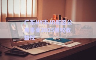 廣東HY市JD新區(qū)公用事業(yè)2025債權(quán)收益權(quán)