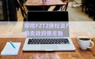 鄢陵FZTZ債權資產拍賣政府債定融 鄢陵FZTZ債權資產拍賣政府債定融