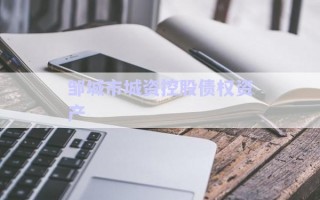 鄒城市城資控股債權(quán)資產(chǎn)