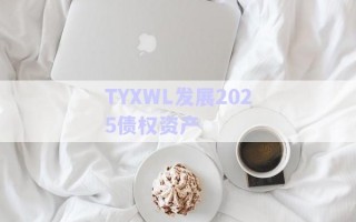 TYXWL發(fā)展2025債權(quán)資產(chǎn)