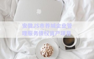 安徽J(rèn)S市養(yǎng)城企業(yè)管理服務(wù)債權(quán)資產(chǎn)項(xiàng)目