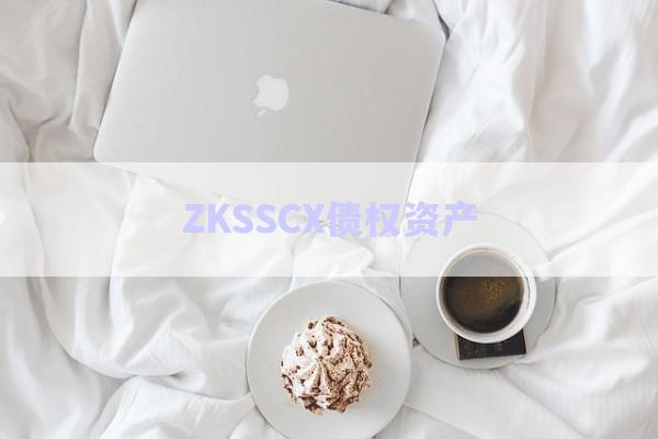 ZKSSCX債權(quán)資產(chǎn)-第1張圖片-政信固收網(wǎng)