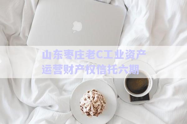 山東棗莊老C工業(yè)資產(chǎn)運營財產(chǎn)權(quán)信托六期-第1張圖片-政信固收網(wǎng)