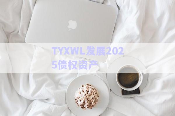 TYXWL發(fā)展2025債權(quán)資產(chǎn)-第1張圖片-政信固收網(wǎng)