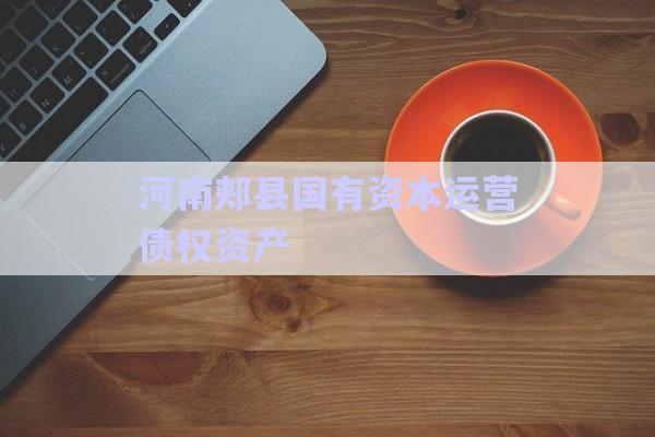 河南郟縣國有資本運營債權(quán)資產(chǎn)-第1張圖片-政信固收網(wǎng)