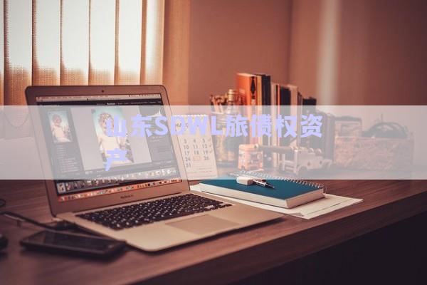 山東SDWL旅債權(quán)資產(chǎn)-第1張圖片-政信固收網(wǎng)