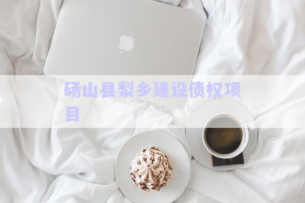 碭山縣梨鄉(xiāng)建設債權項目-第1張圖片-政信固收網