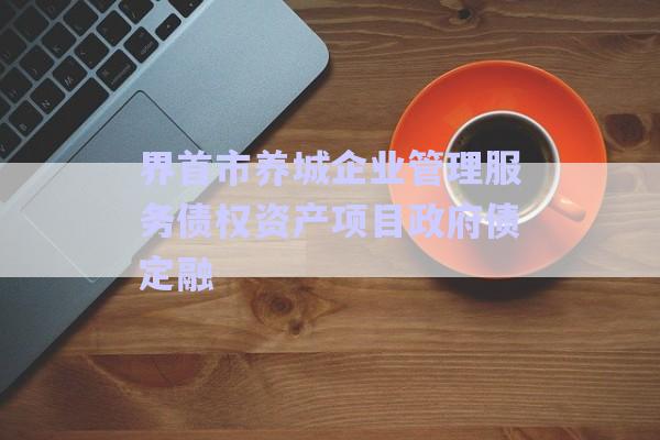界首市養(yǎng)城企業(yè)管理服務債權資產(chǎn)項目政府債定融-第1張圖片-政信固收網(wǎng)